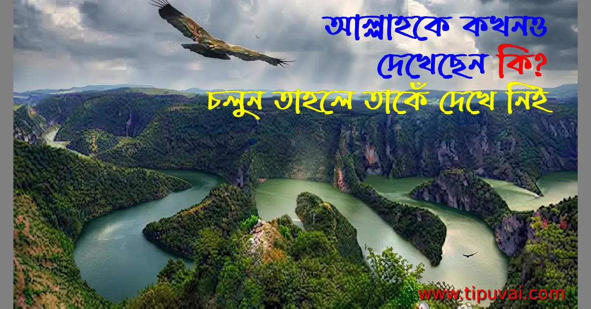 আল্লাহকে কখনও দেখেছেন, চলুন দেখে নিই
