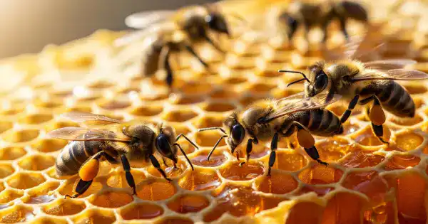 মধু-মৌমাছি