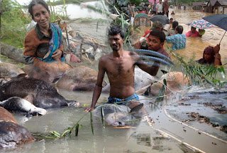 মহাপ্রলয়