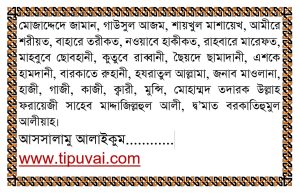 পীর-বাবার-দরবারে