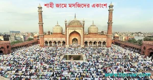 শাহী জামে মসজিদ দিল্লী