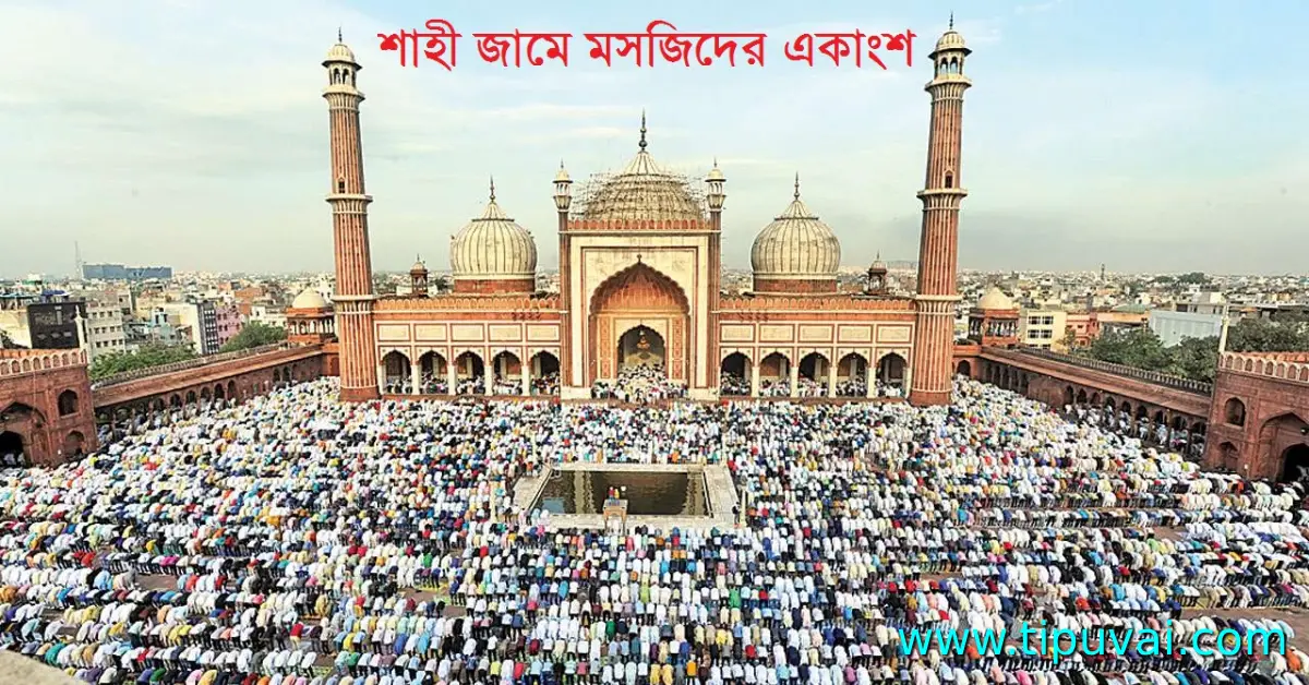 শাহী জামে মসজিদ দিল্লী