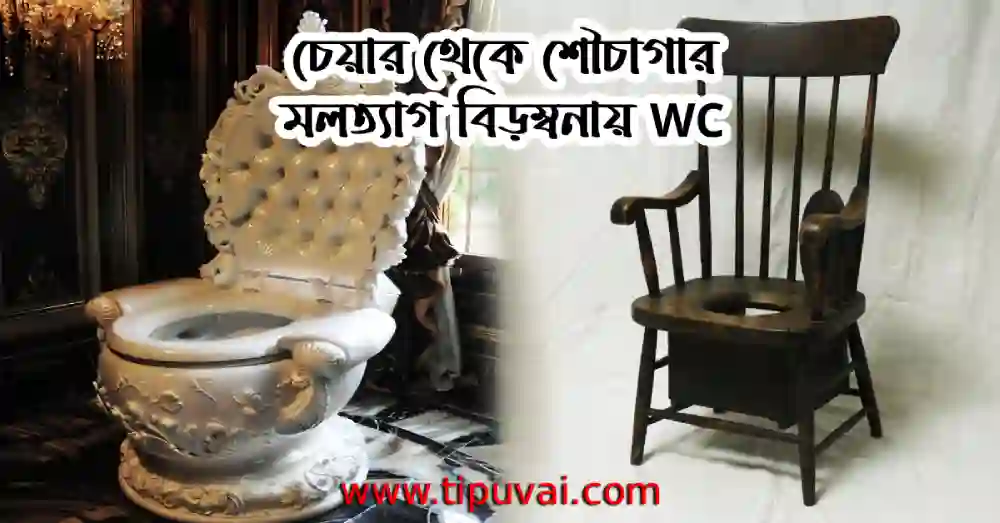 চেয়ার থেকে শৌচাগার : মলত্যাগ বিড়ম্বনায় WC - রম্য রচনা