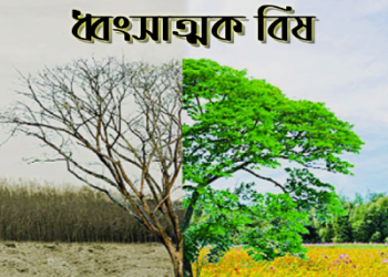 হিংসা একটি ধ্বংসাত্মক বিষ