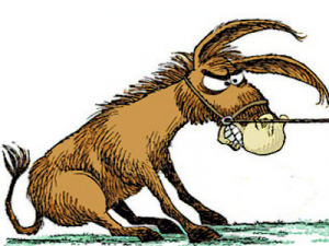 একগুঁয়েমিপনা