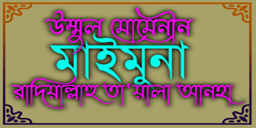 উম্মুল মোমেনীন