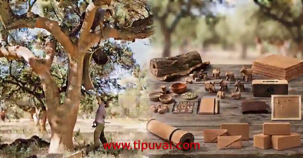 কর্ক শিল্প ও আমাদের পাটখড়ি