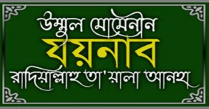 উম্মুল মোমেনীন যয়নাব (রাঃ)