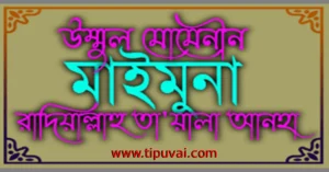 উম্মুল মুমিনিন মাইমুনা বিনতে হারিস (রাঃ) এর সংক্ষিপ্ত জীবনী