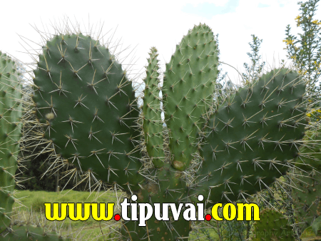 Ayollar uchun intim video Kichkina qizim bilan porno video