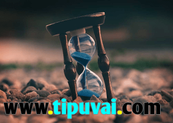 প্রজ্ঞা