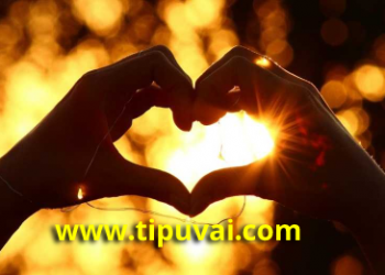 বুয়েট মেধাবীদের প্রেম নিবেদন