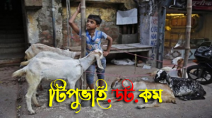 কোরবানি