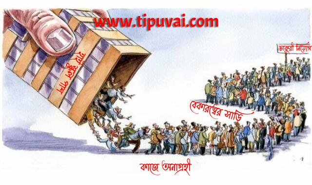 শিক্ষা যেখানে বেকার