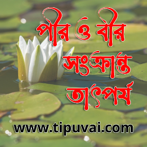 পীর ও বীর