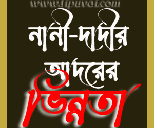 নানী দাদী