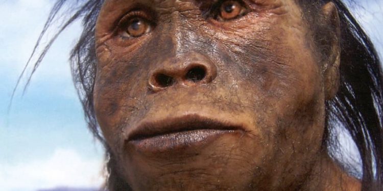 নিয়াণ্ডারথাল