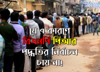 পিআর-বিএনপি