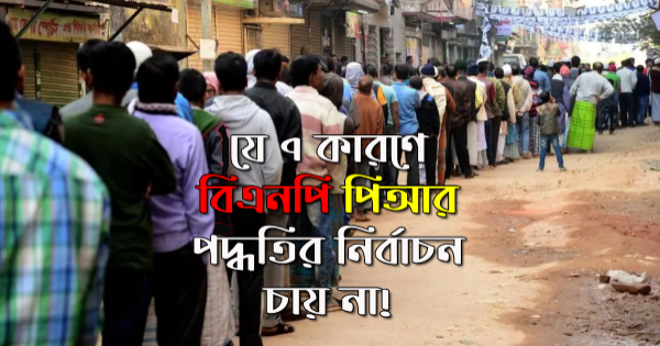 পিআর-বিএনপি